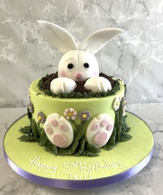 Bunny-Rabbit-birthday-cake