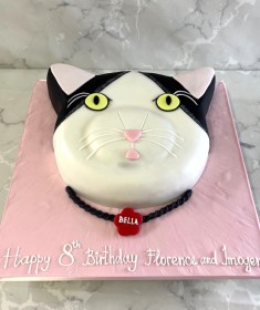 cat-birthday-cake-