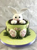 Bunny-Rabbit-birthday-cake