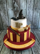 harry potter cake hogwarts cake quiddich snitch sorting hat  dublin ireland