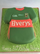 ireland creative cake amazng cake big cake special occasions dublin ireland birthday cake dublin