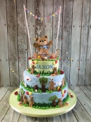 teddy bear picnic cake  birthday cake , bear cake dublin ireland