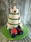 Farming wedding cake