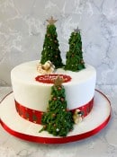 Christmas-cake-with-edible-christmas-trees-