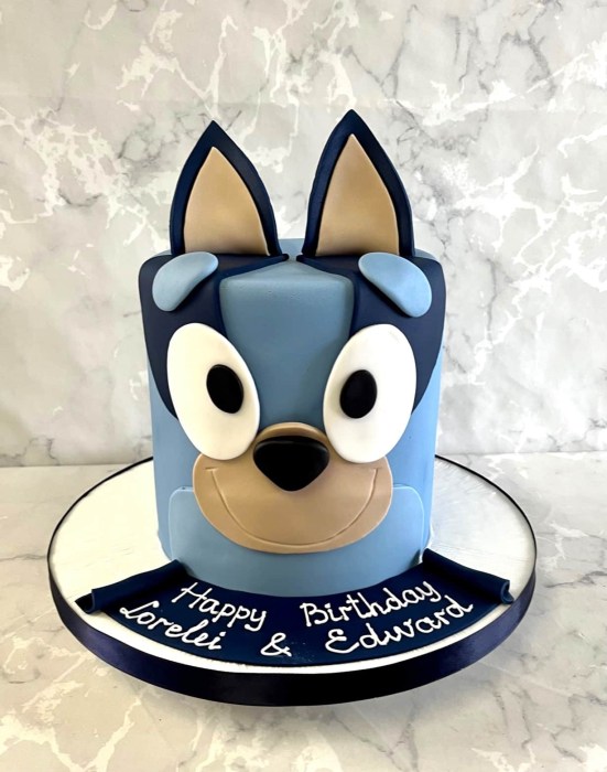 Bluey-birthday-cake-