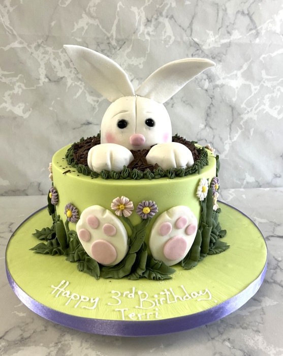 Bunny-Rabbit-birthday-cake