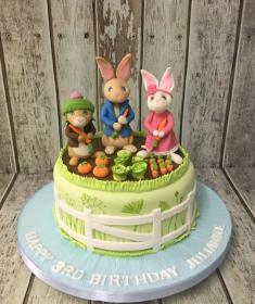 peter rabbit and friends cake dublin ireland