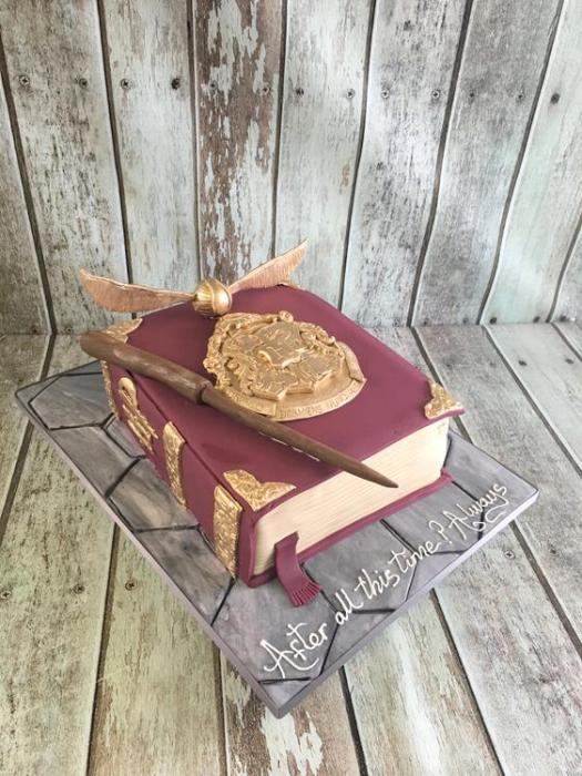 Hogwarts book harry potter book spell book Dublin ireland