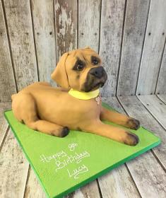 dog birthday cake animal cake mans best friens chocolate biscuit