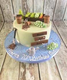 gardening cake birthday cake green fingers cake fun cake dublin ireland