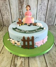 birthday , novelty sports fashion  princess occasional vintage cake Dublin Ireland