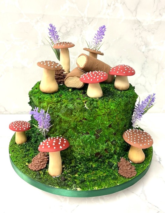 Moss-and-mushroom-birthday-cake-