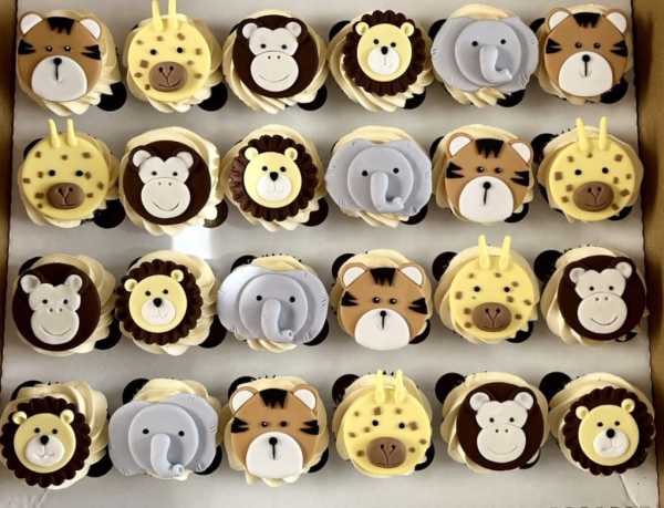 jungle-themed-cup-cakes-with-sugar-hand-made-faces