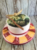 harry potter birthdat cake