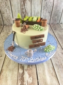 gardening cake birthday cake green fingers cake fun cake dublin ireland