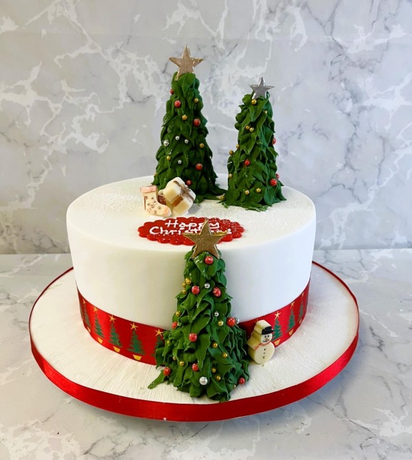 Christmas-cake-with-edible-christmas-trees-