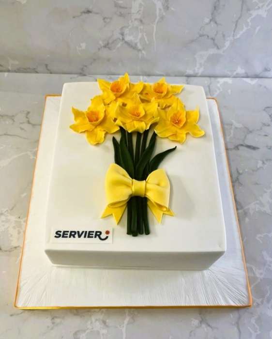 Servier-corporate-daffodill-Day-cake