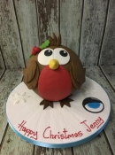 Corporate Christmas cake 3 for In sight Marketing