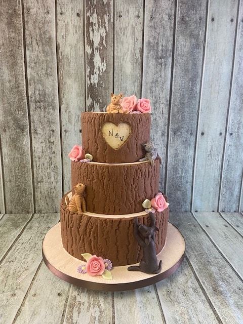 3-tier-bark-tree-wedding-cake-