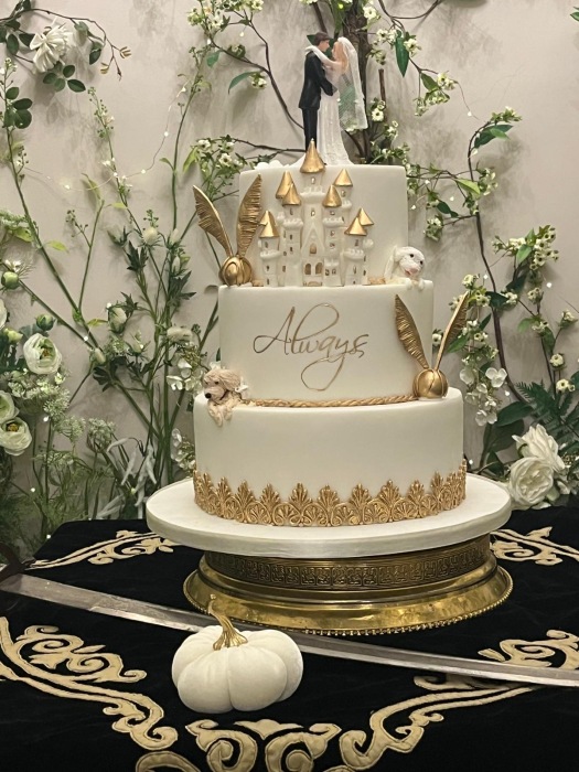 Harry Potter inspired wedding cake