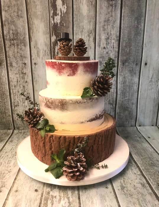 Winter wedding cake with  sugar Tree bark finish semi naked sponges and real pine cones