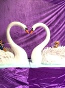 Life size swan cakes with sugar figures