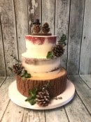 Winter wedding cake with  sugar Tree bark finish semi naked sponges and real pine cones 