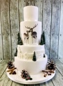 hand-painted-wintereer-and-winter-villade-wedding-cake-